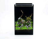 NatureHolic Black Wall - 5L Aquarium mit Rückwand aus schwarzem Glas