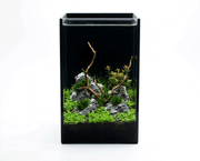 NatureHolic Black Wall - 5L Aquarium mit Rückwand aus schwarzem Glas